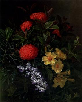 Johan Laurentz Jensen : Allemanda Ixora And Orchids